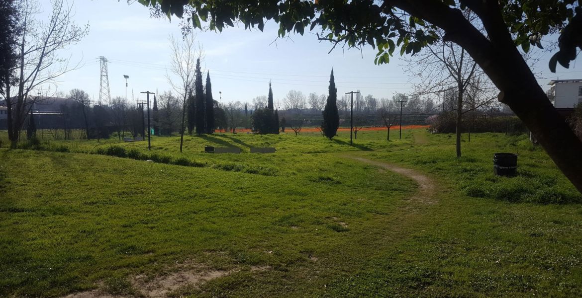 OASI