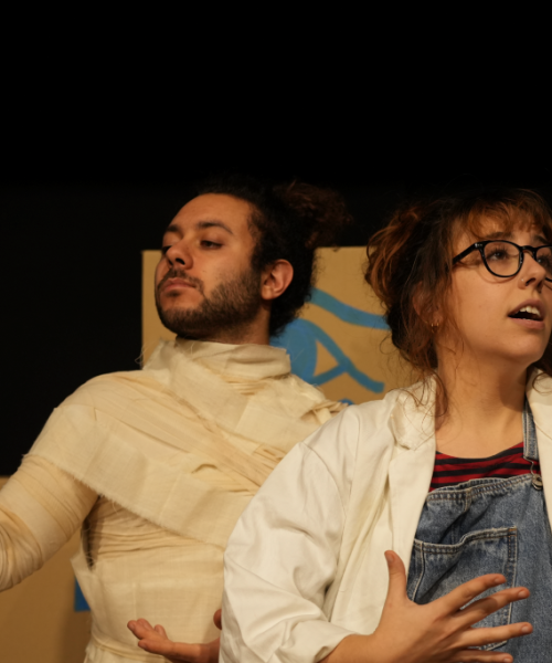 Il codice della mummia